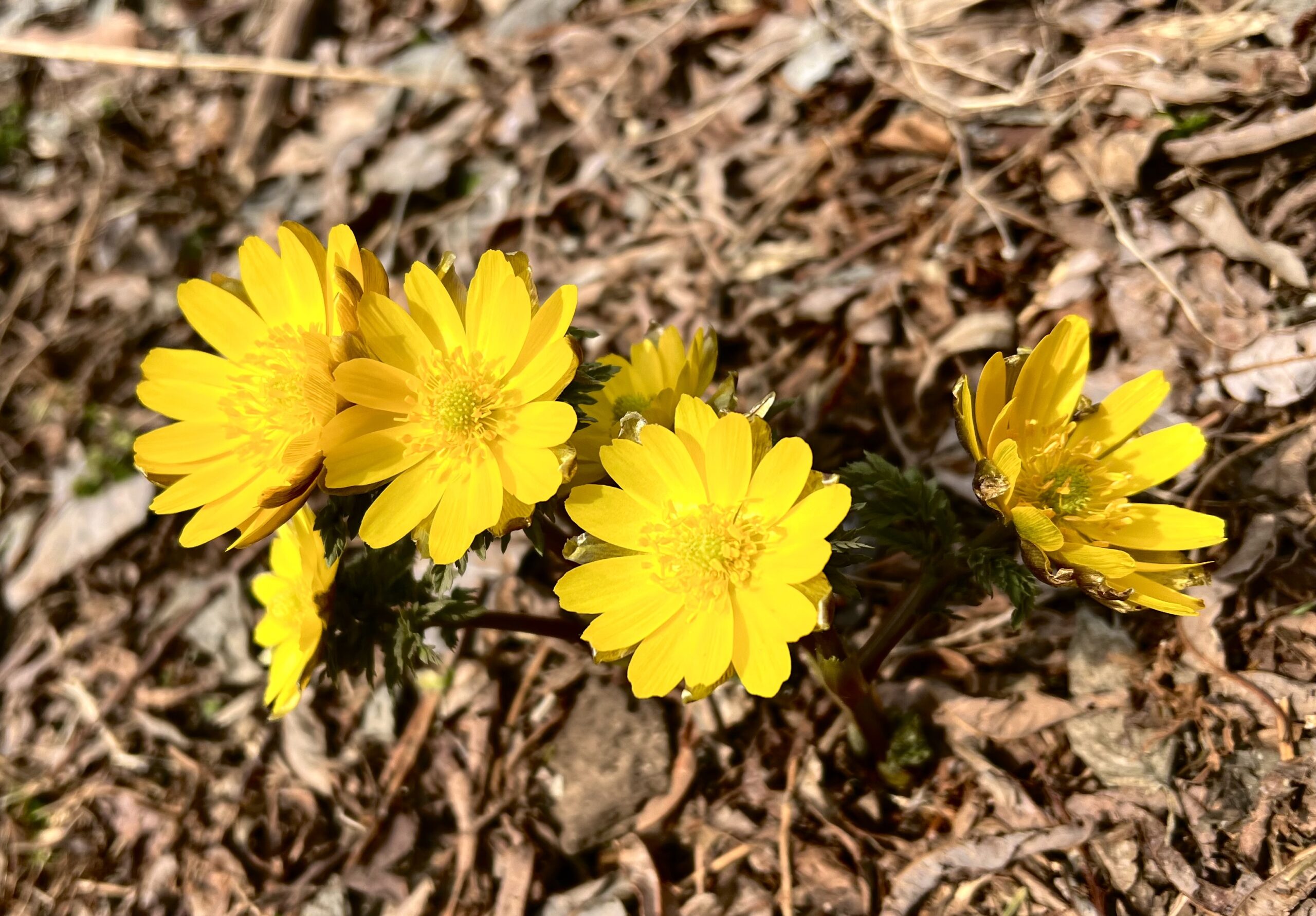 GＷも休まず営業致します