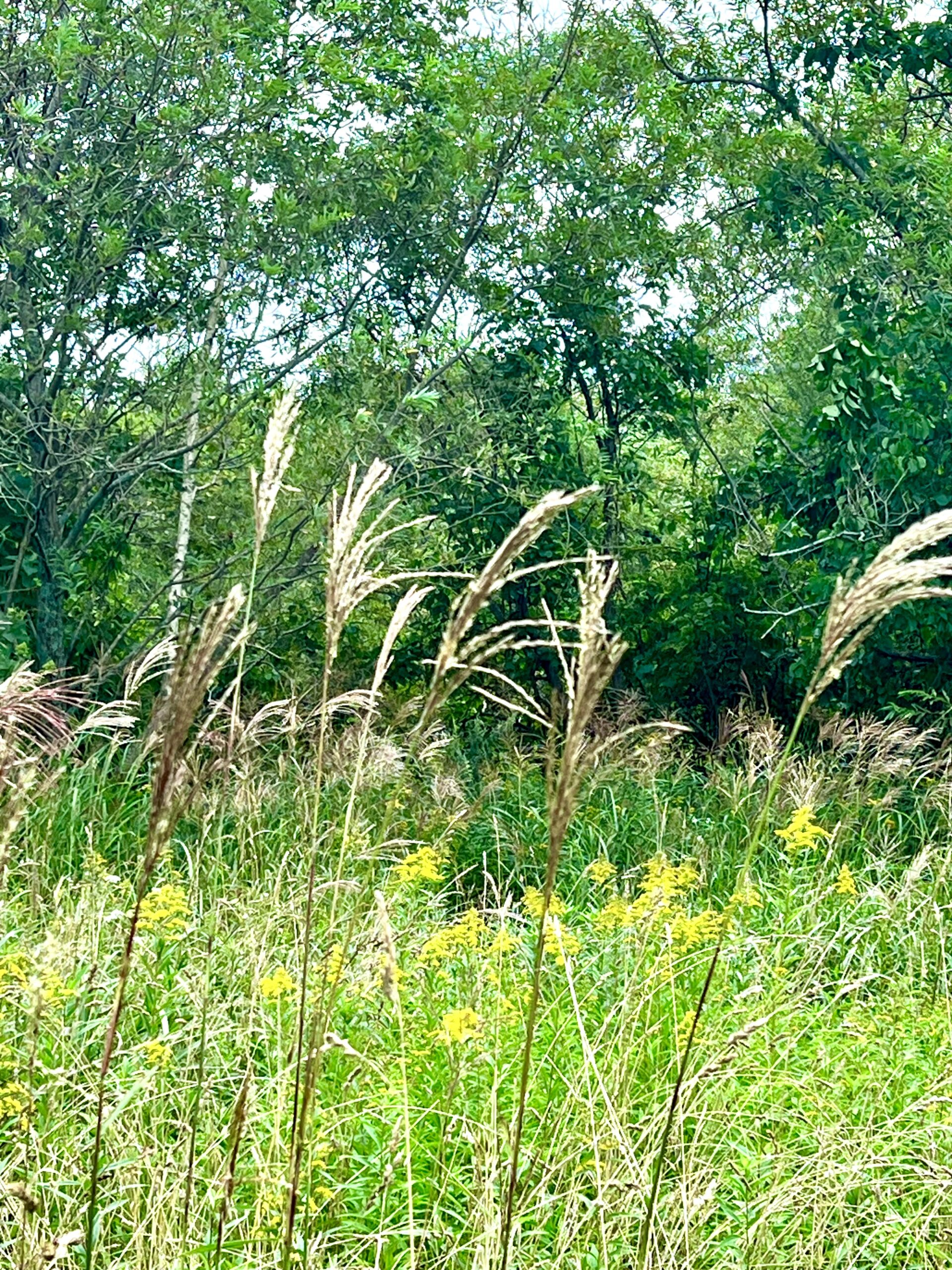 夏の疲れをリセットし「秋バテ」を防ぎましょう